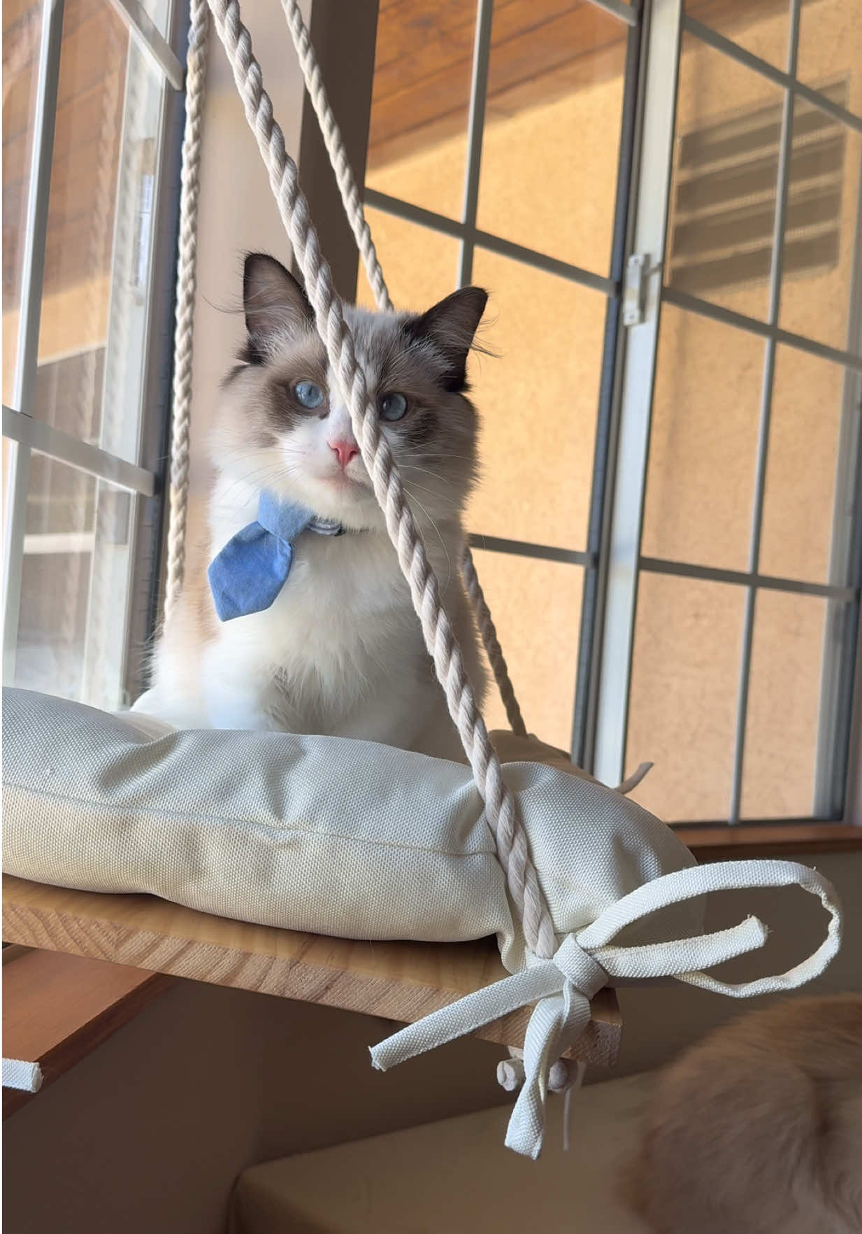 Lexi (@ohhbabyitslexi) - Urlebird