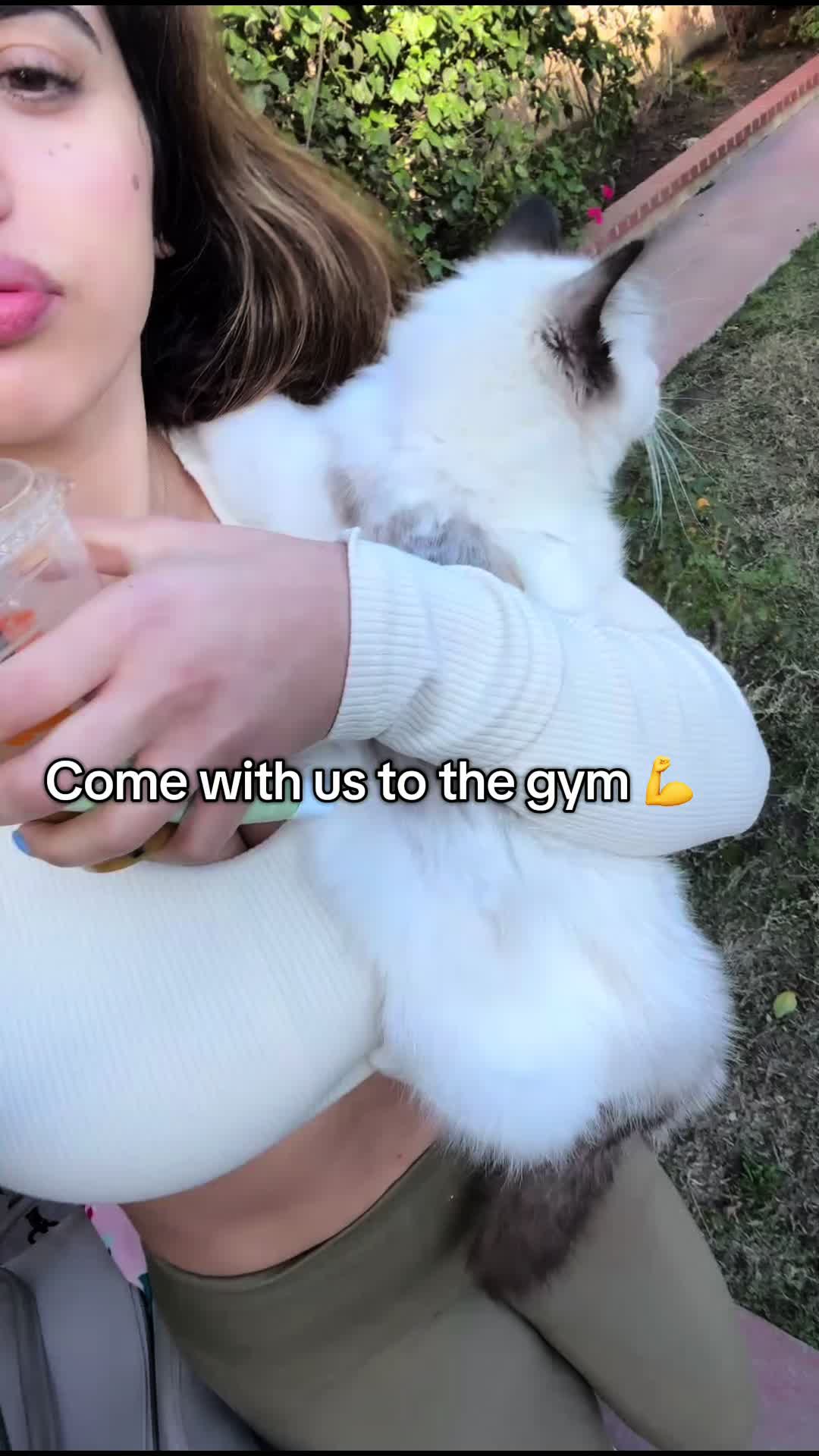 🦄 @ohhbabyitslexi - Lexi - TikTok