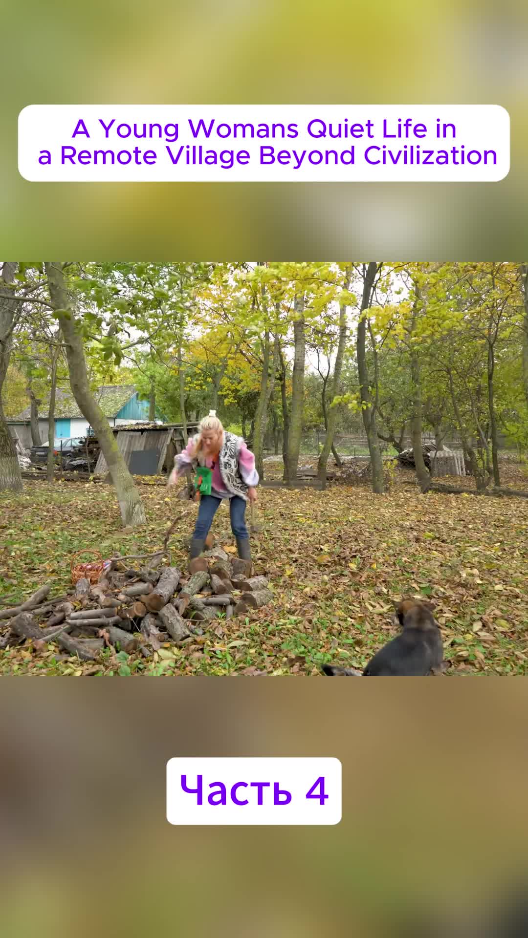 Robinson in countryside (@robinsonincoutryside) - Urlebird