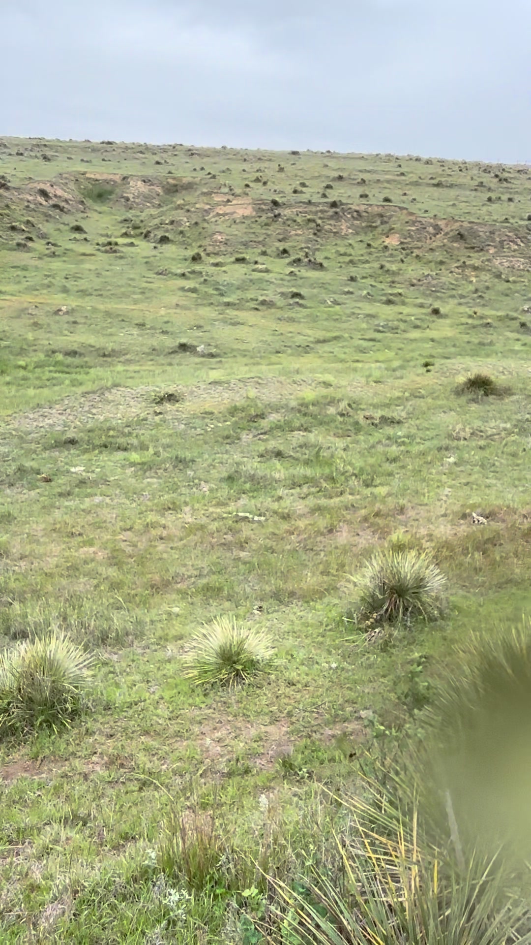 22.52K hearts, 1.67K | Audry Adames (@audryadames)