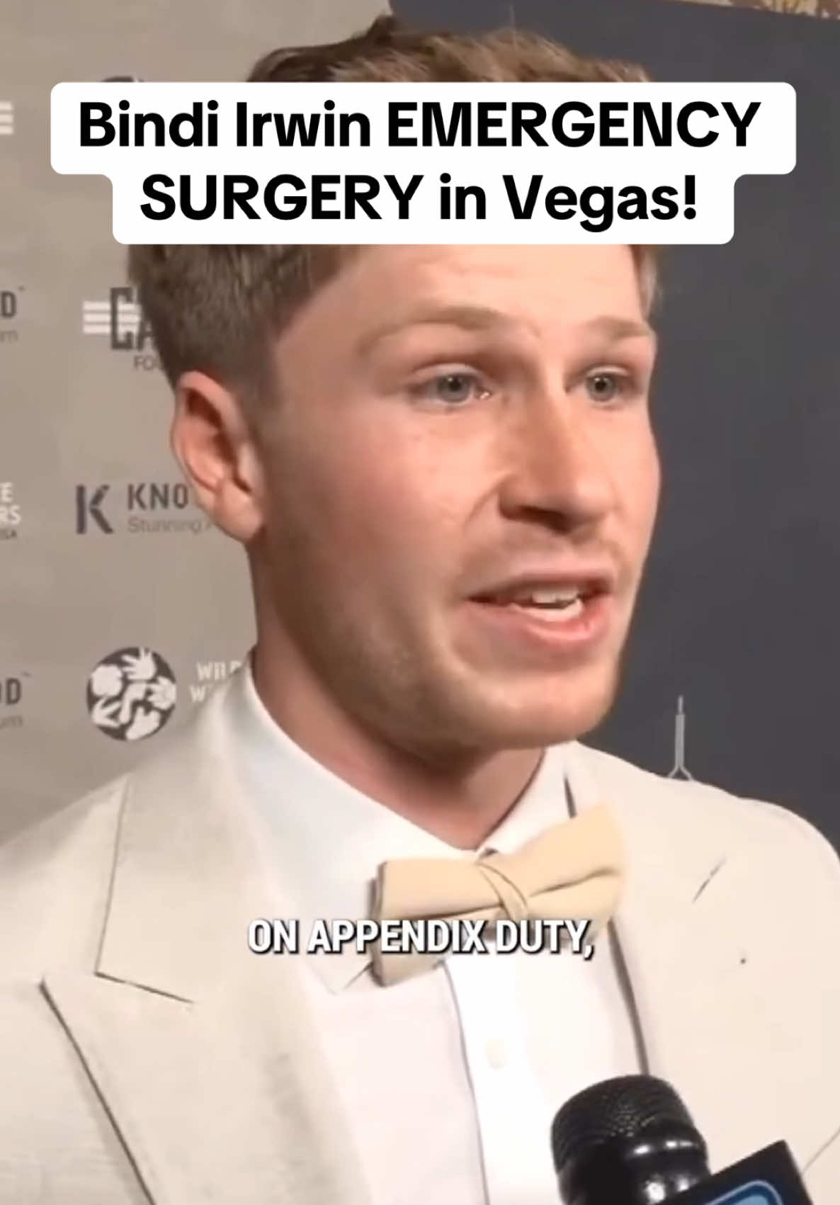 3.59K hearts, 26 shares | Emilia Di Giovanni (@leonessa716)