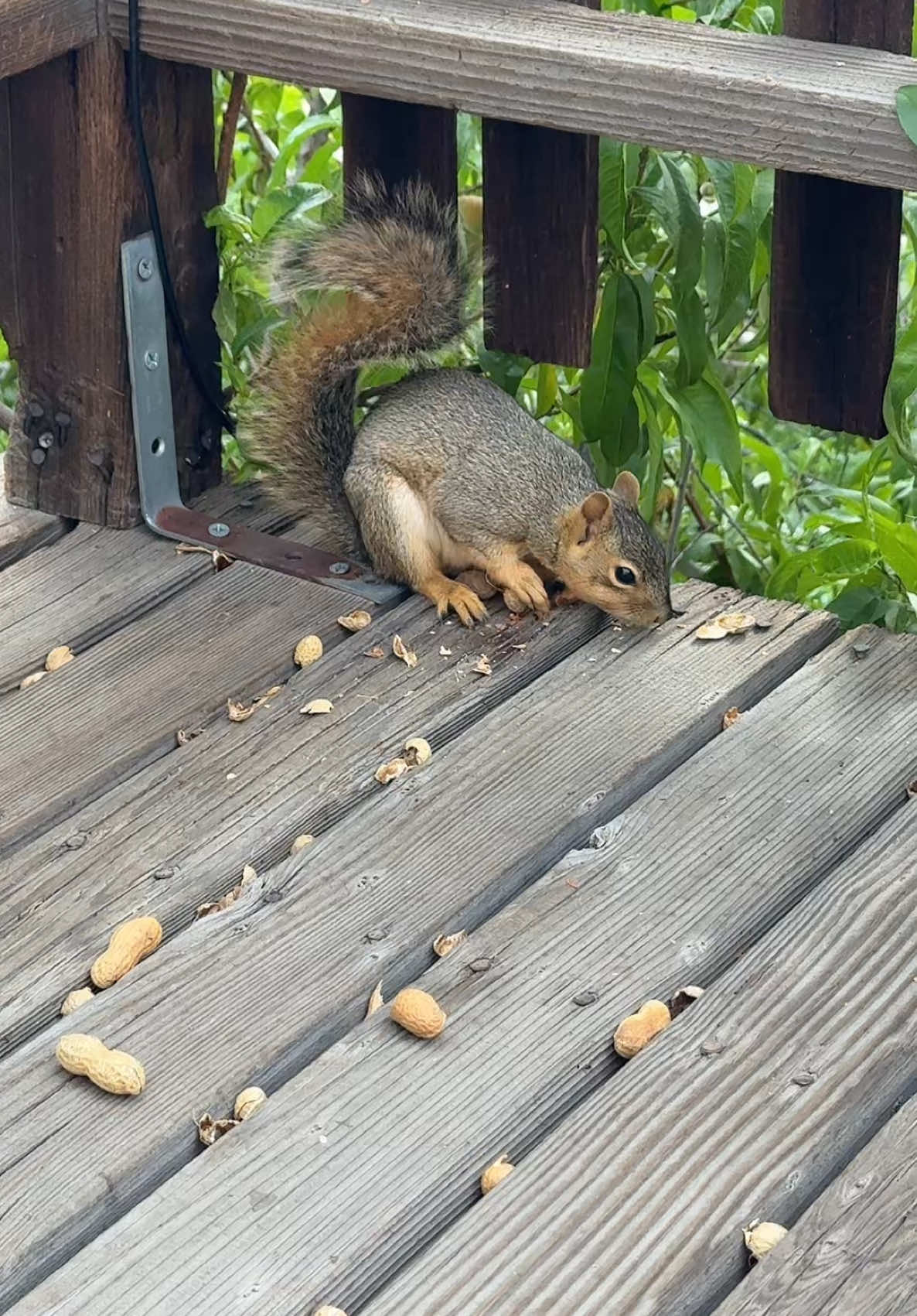 Kori (@korilovesfitness) - Urlebird