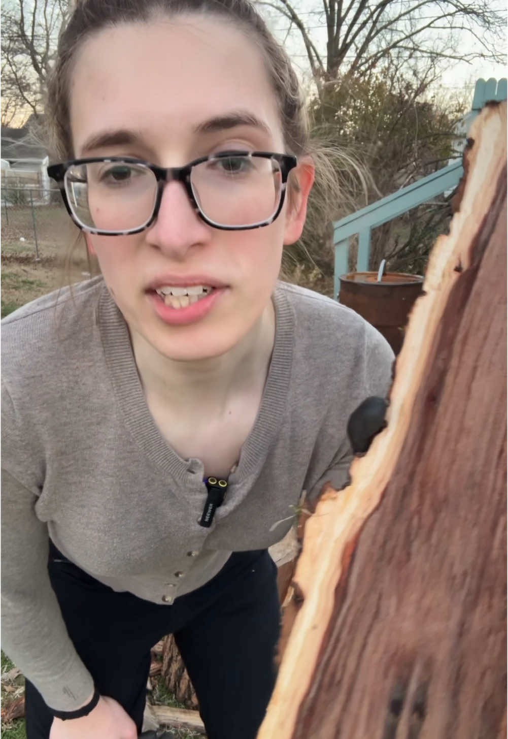 Caylee P (@cayleependerass) - Urlebird