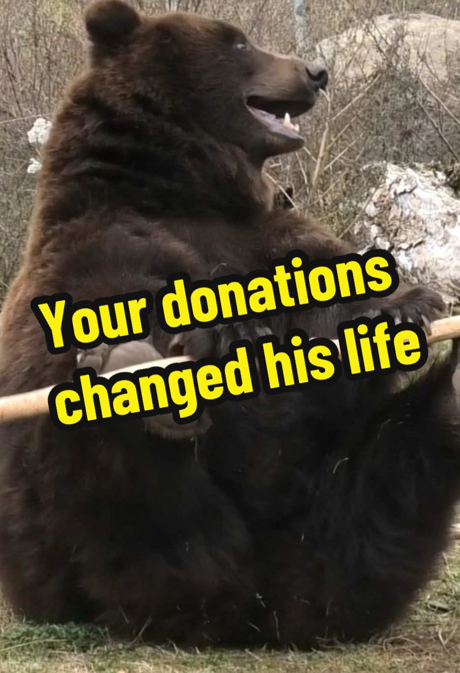 @Whiterock.savewildfund