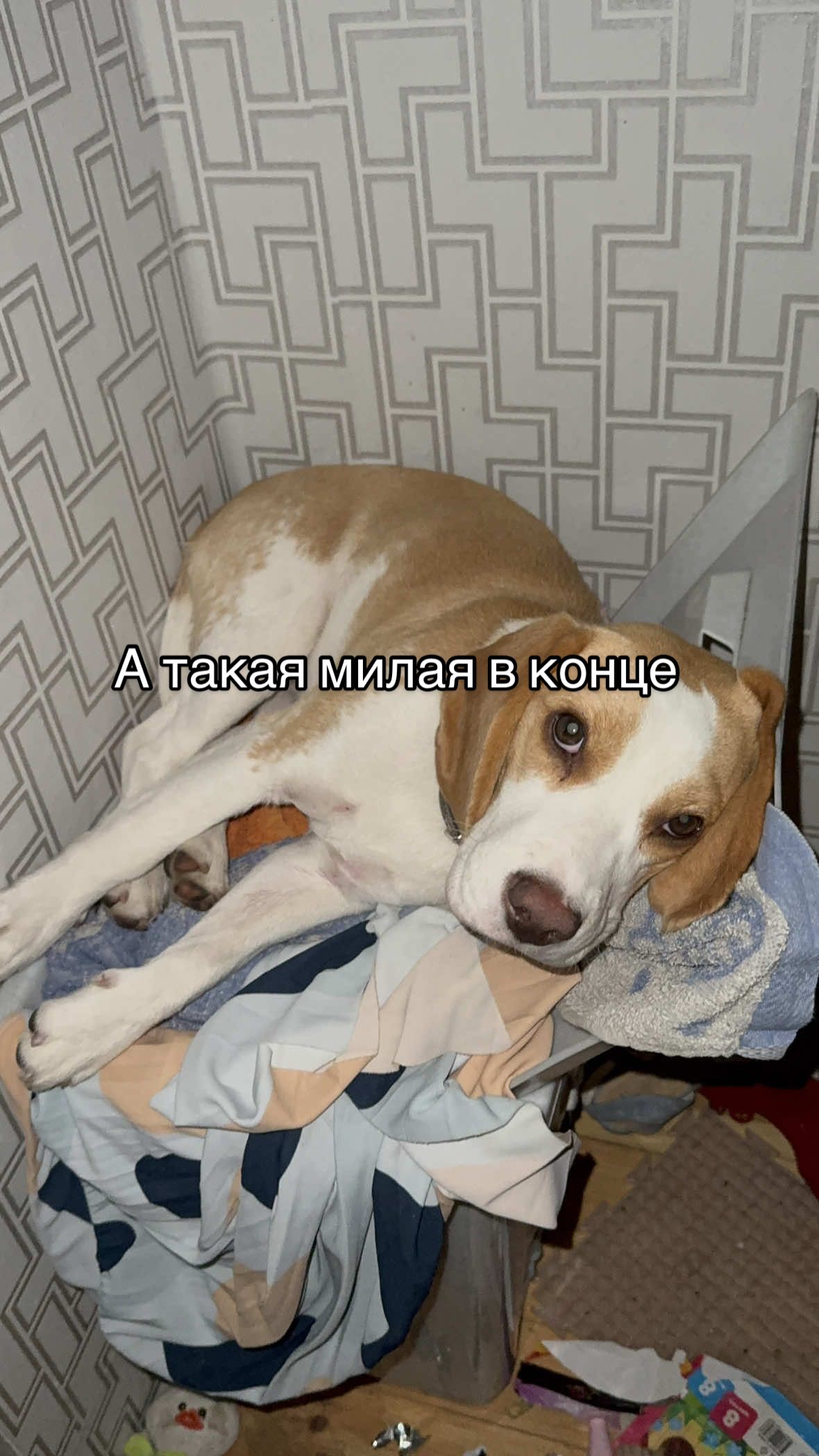@Ирина Барма