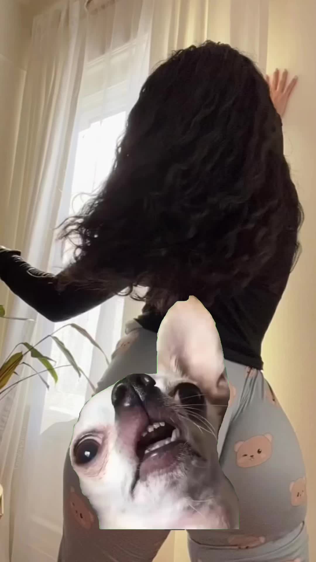 Zayanna (@thezayanna) - Urlebird