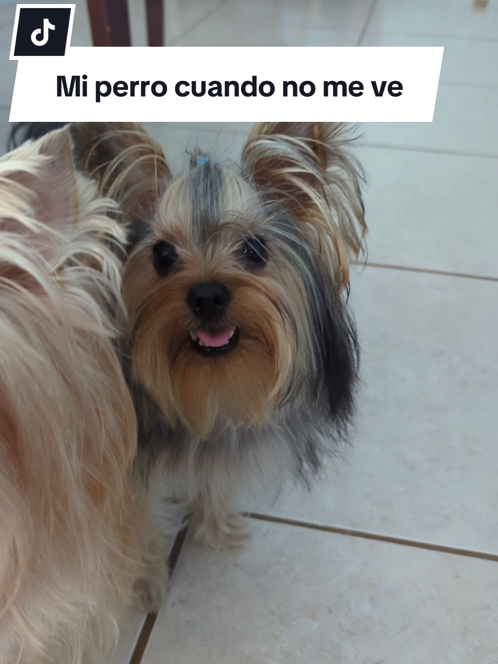 @Maximus