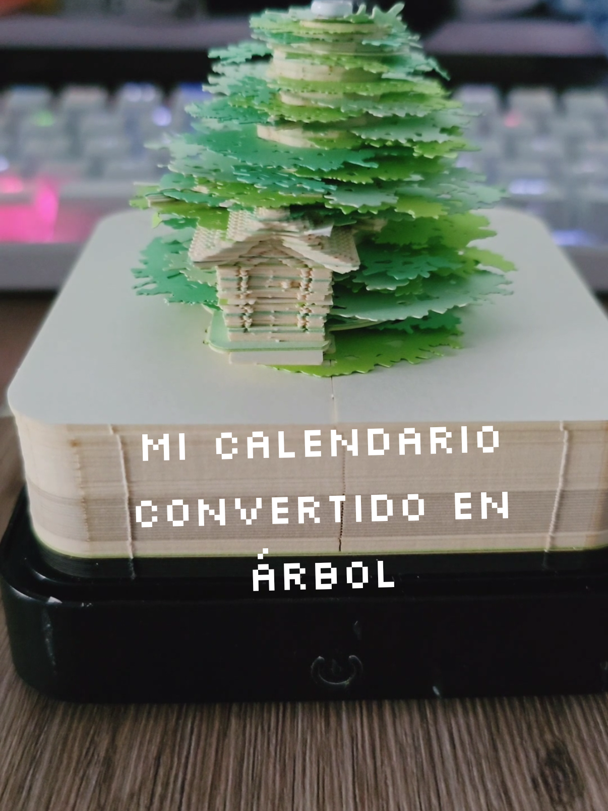 @Marisol | Coder/Developer