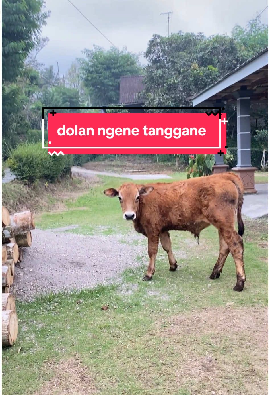 @ANAKE GEGER❗️❗️