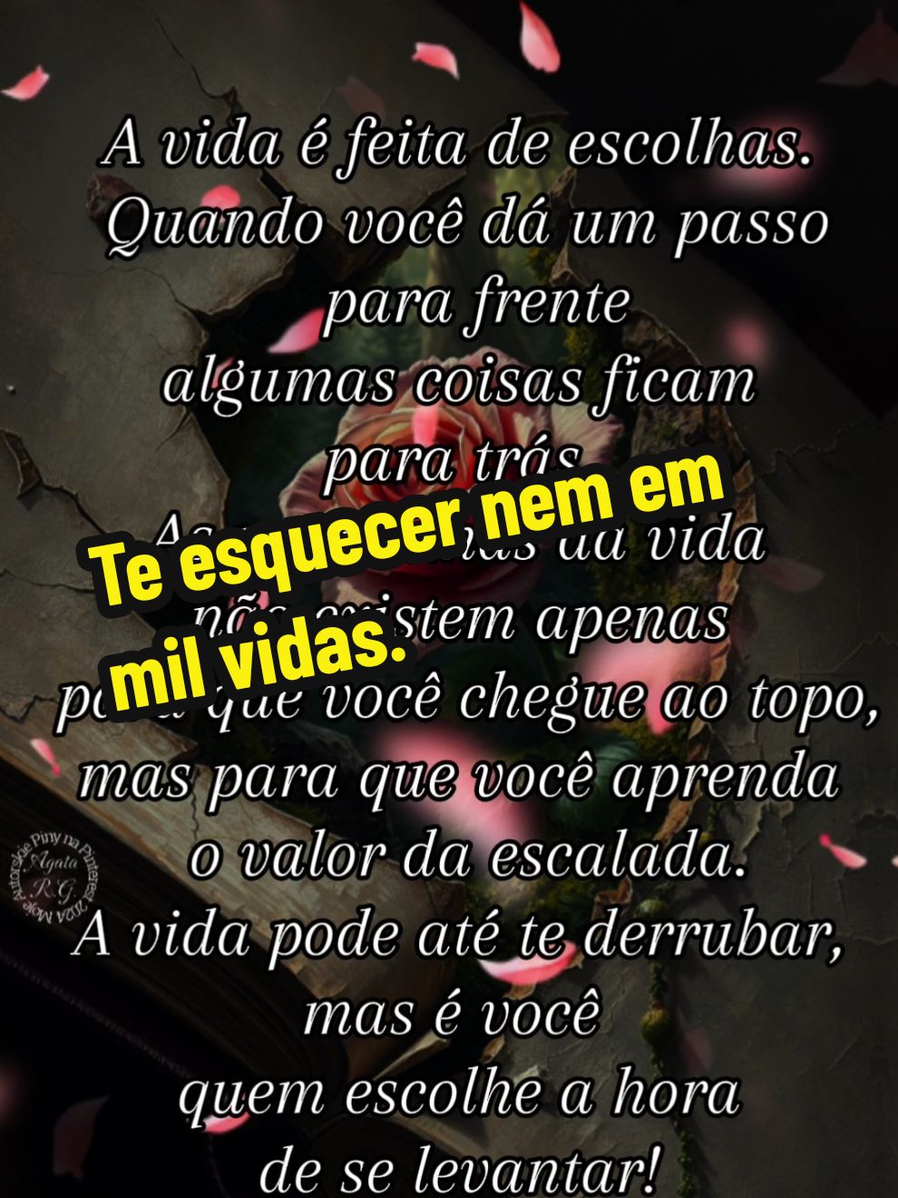 @Moda caipira