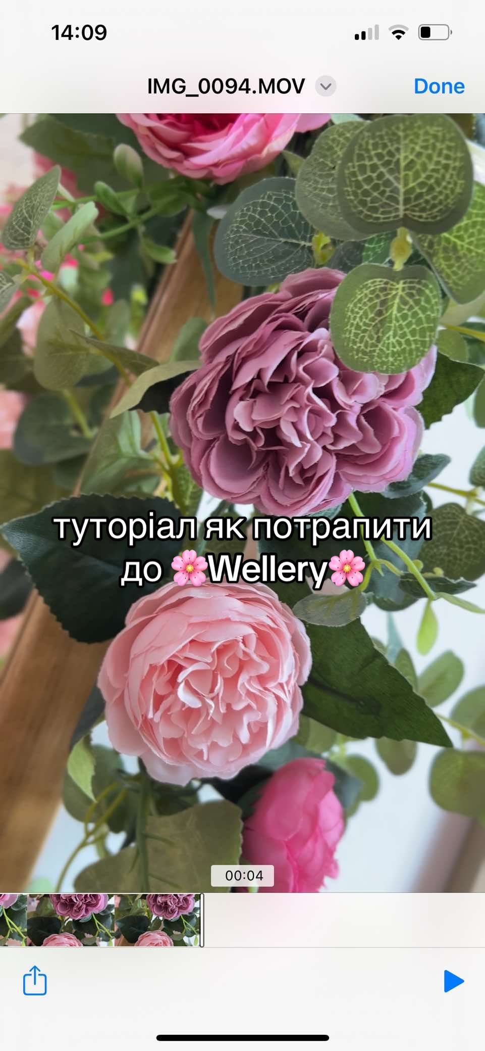 @Wellery Aerial Studio 🌸