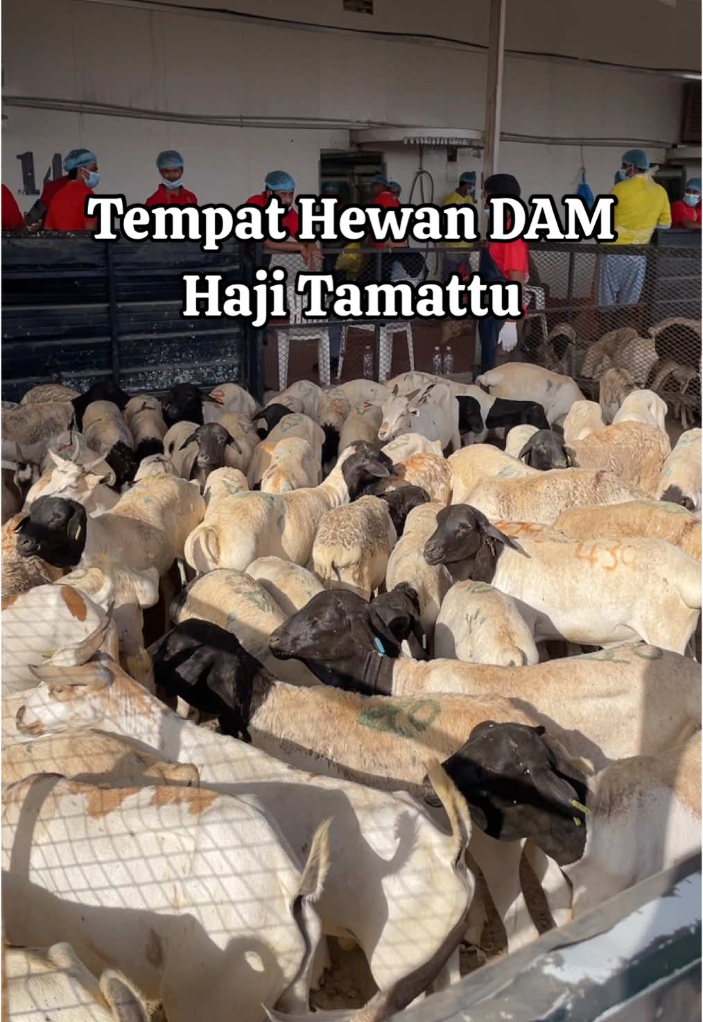 @pa epul