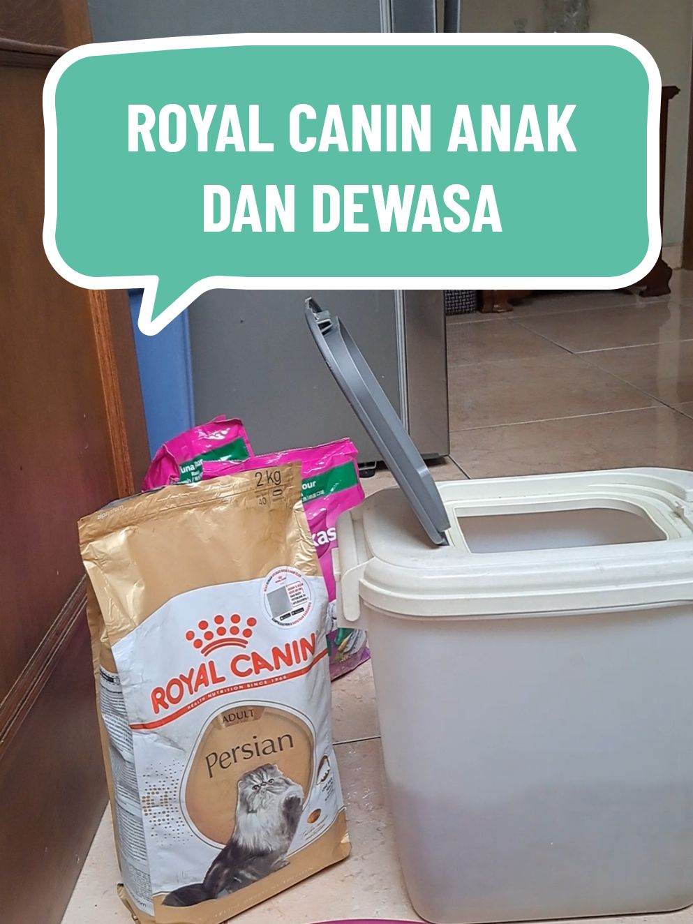 @dewidailylife