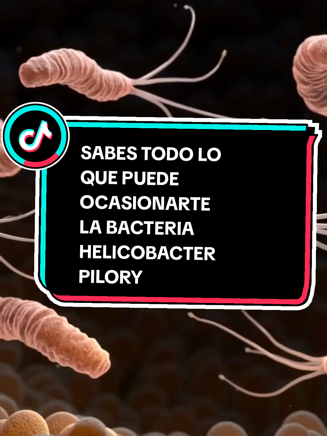 @Adriana| Erradica la gastritis