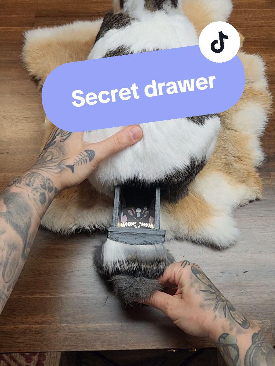 @May Jackalope Taxidermy 🇨🇦