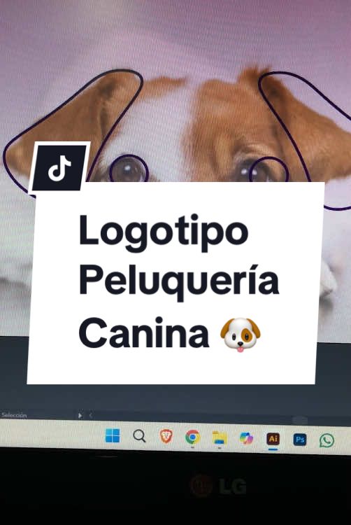 @Nestor - Dise&ntilde;ador
