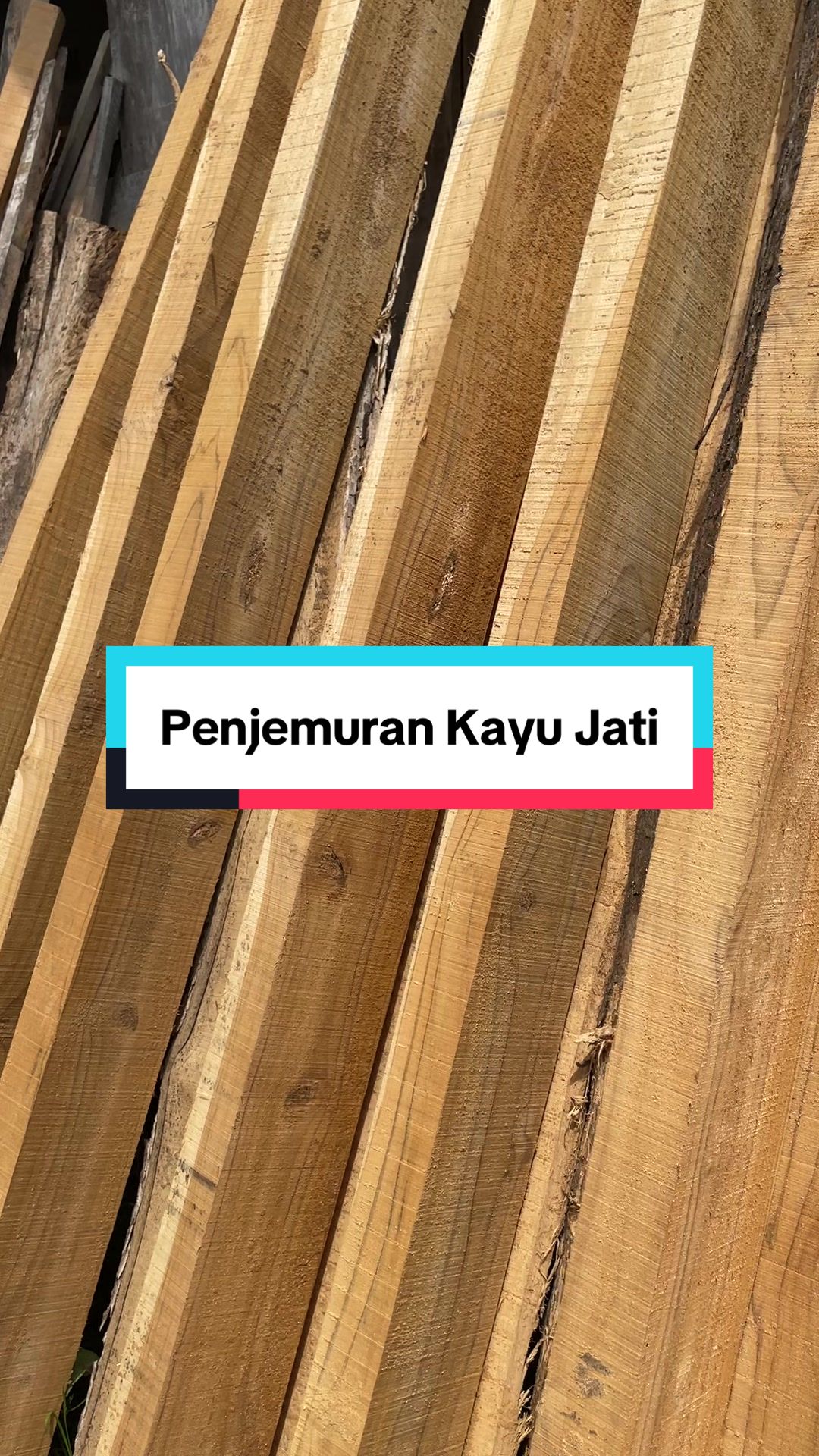 @Bos Kayu