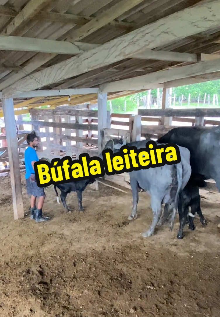 @francimar