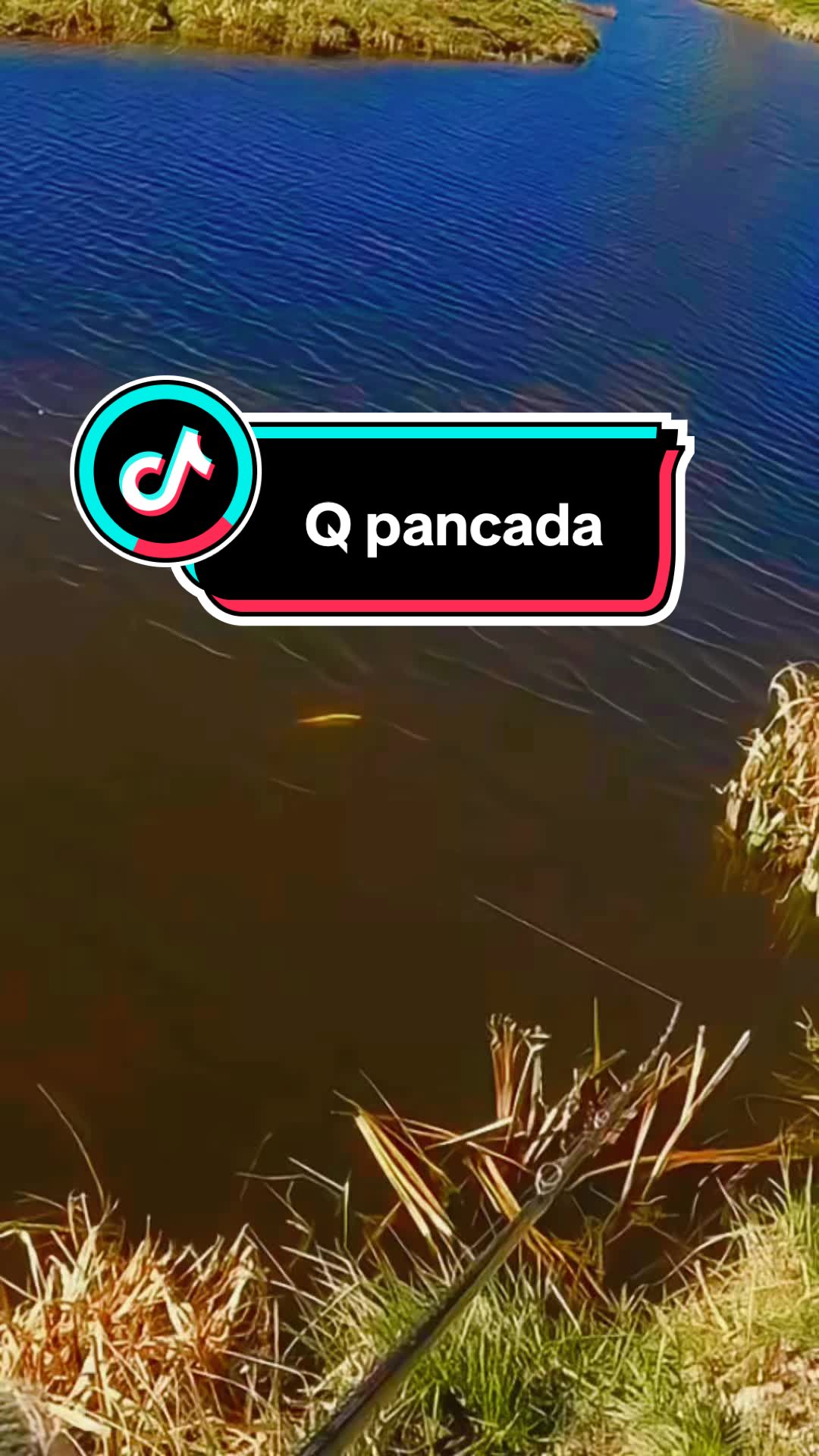 @thiagobombom