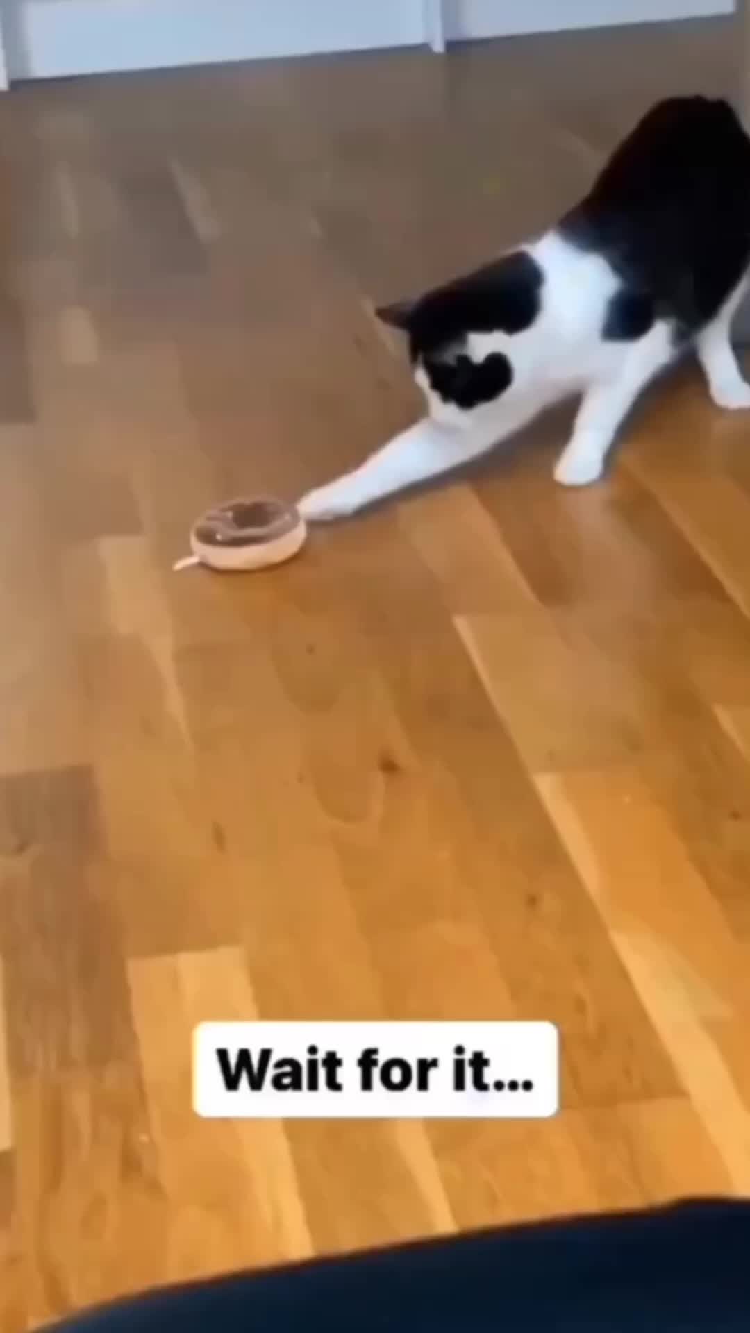 @mlo678