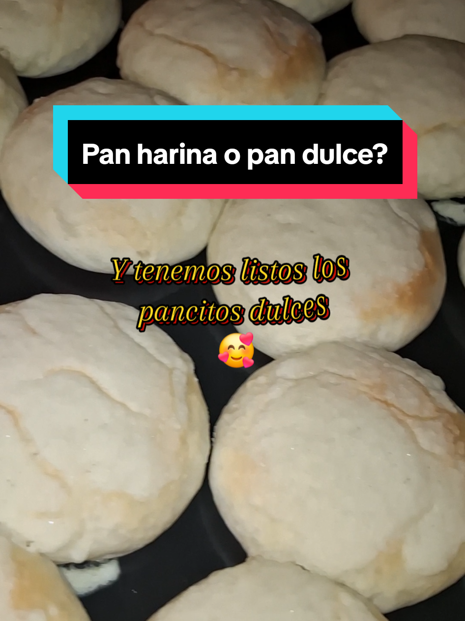 @🇨🇱Dulce Amelia🍞🇧🇴