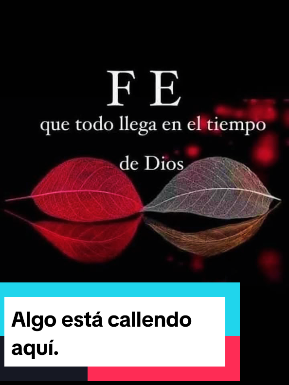 @Miranda Rojas.