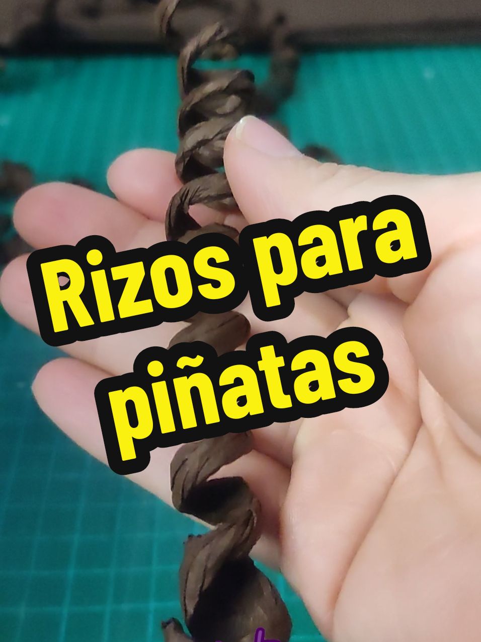 @Pi&ntilde;atas Nereida Garza