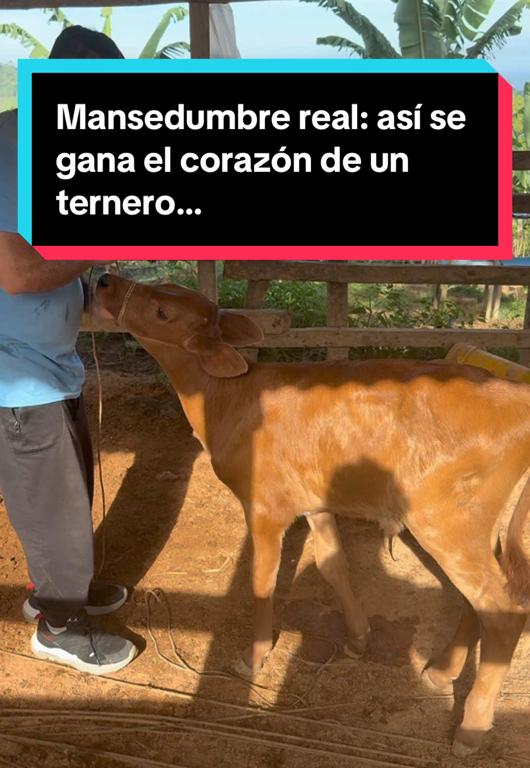 @iober91