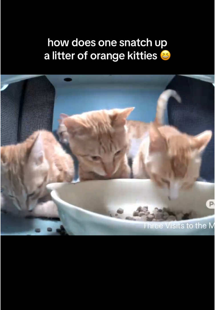 @kittyuhhh