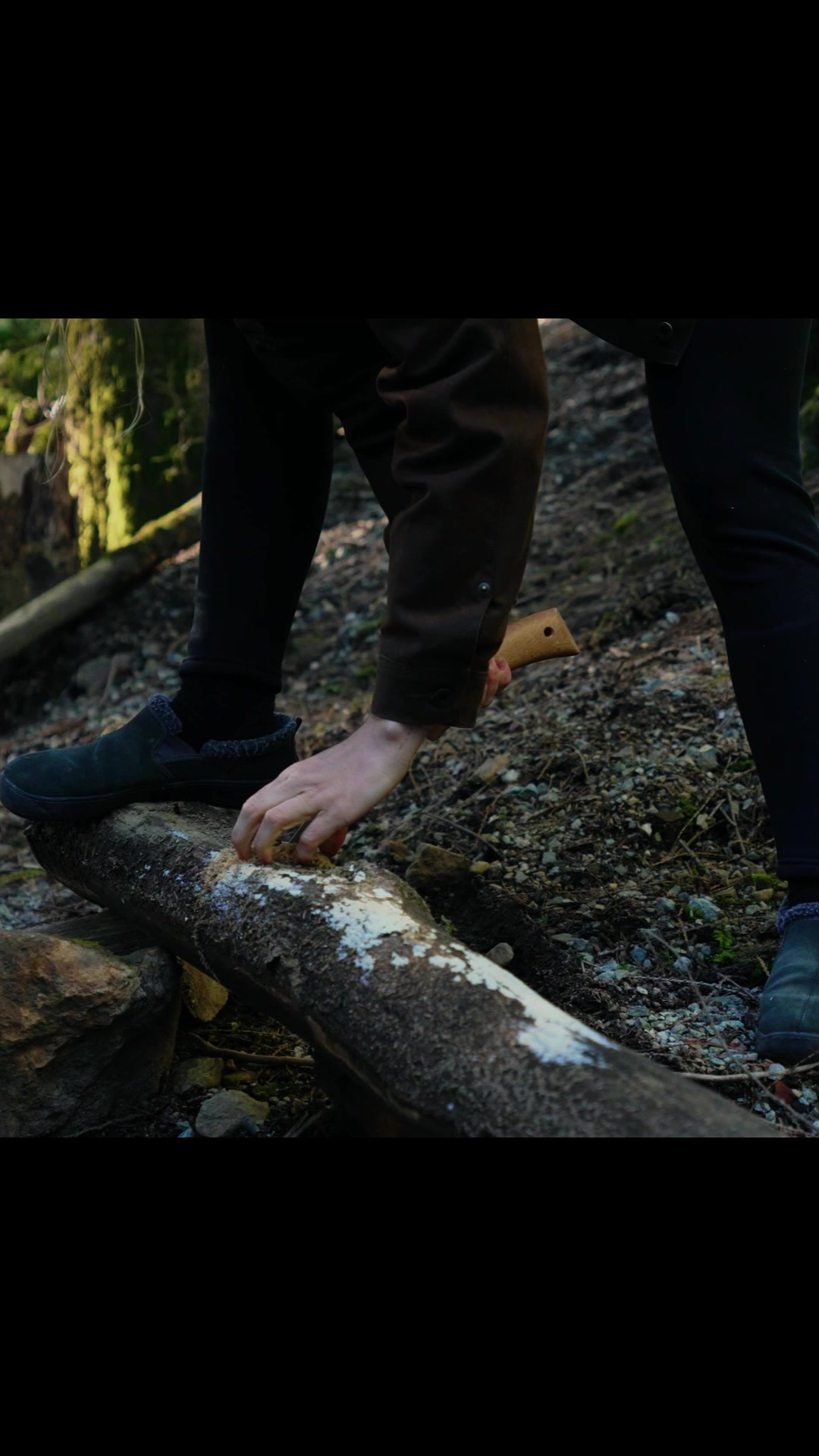 Alice Outdoors (@aliceoutdoorsextended) - Urlebird