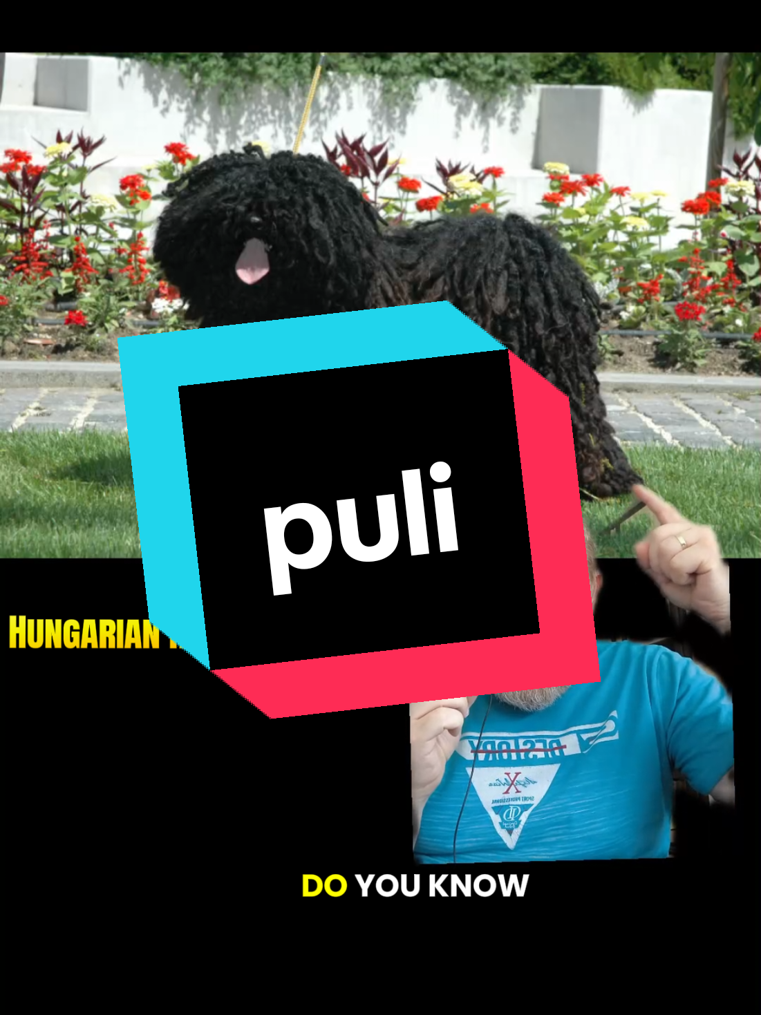 @Hungarian Pronunciation
