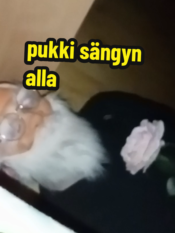 @LEMPEÄ JÄTTI