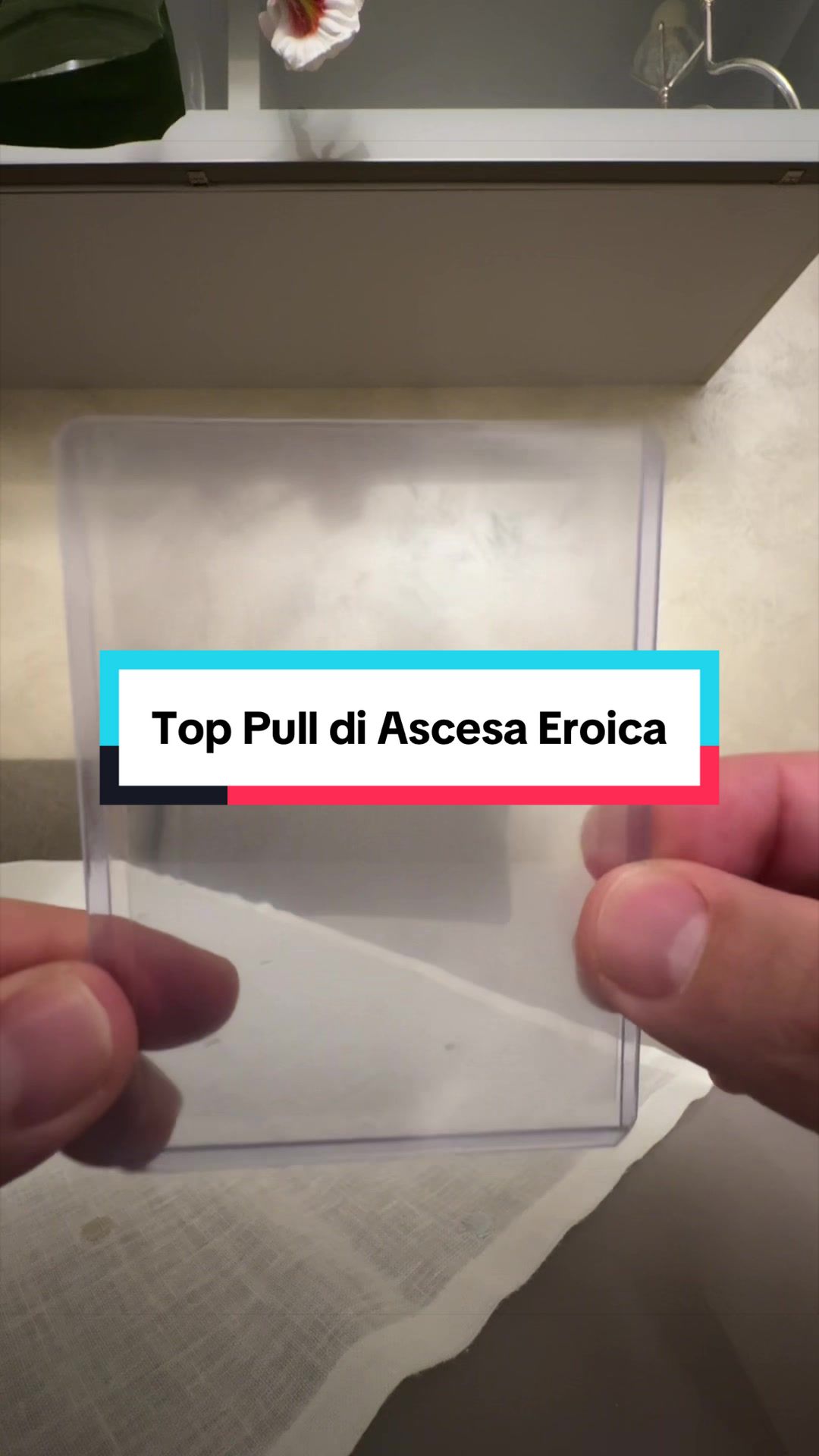 @WillTCG