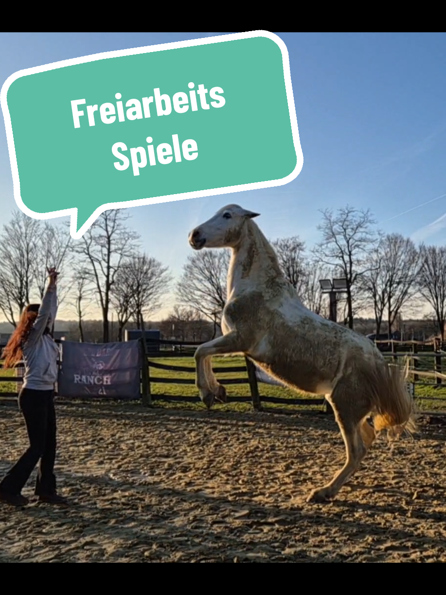 @Lisas kleine Ranch 🐴