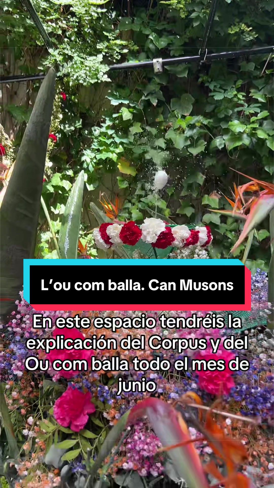 @Rafa Vilalta Rueda