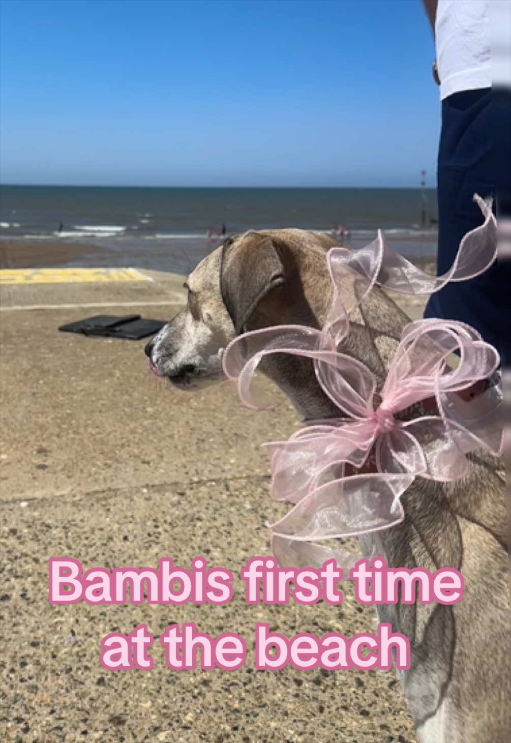@BambisBlooms