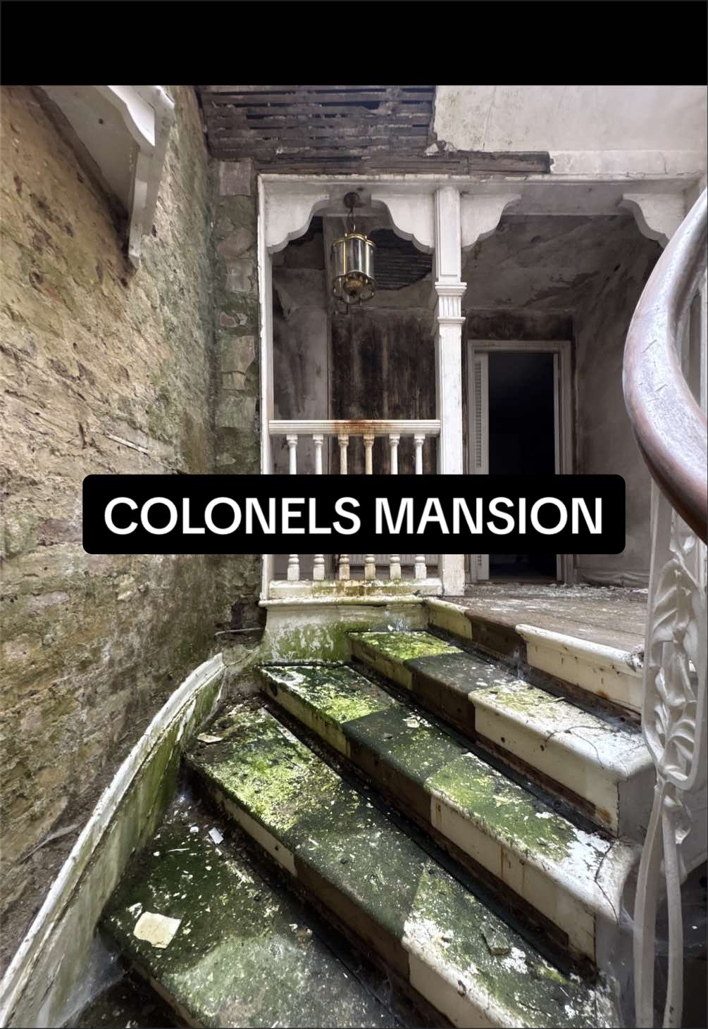 @EXPLORE ON INSTAGRAM seanurbex