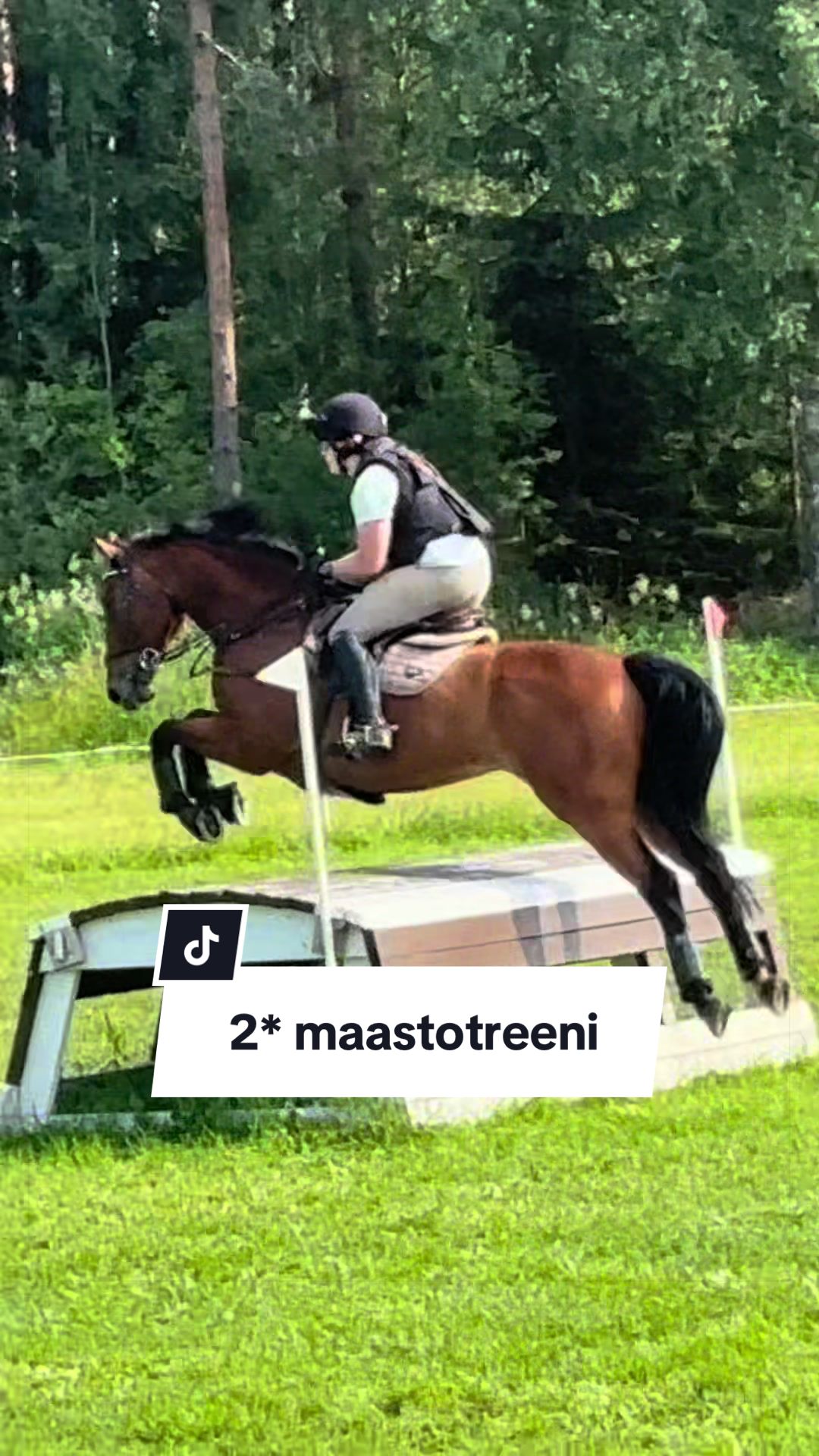@Mansikkam&auml;ki Eventing