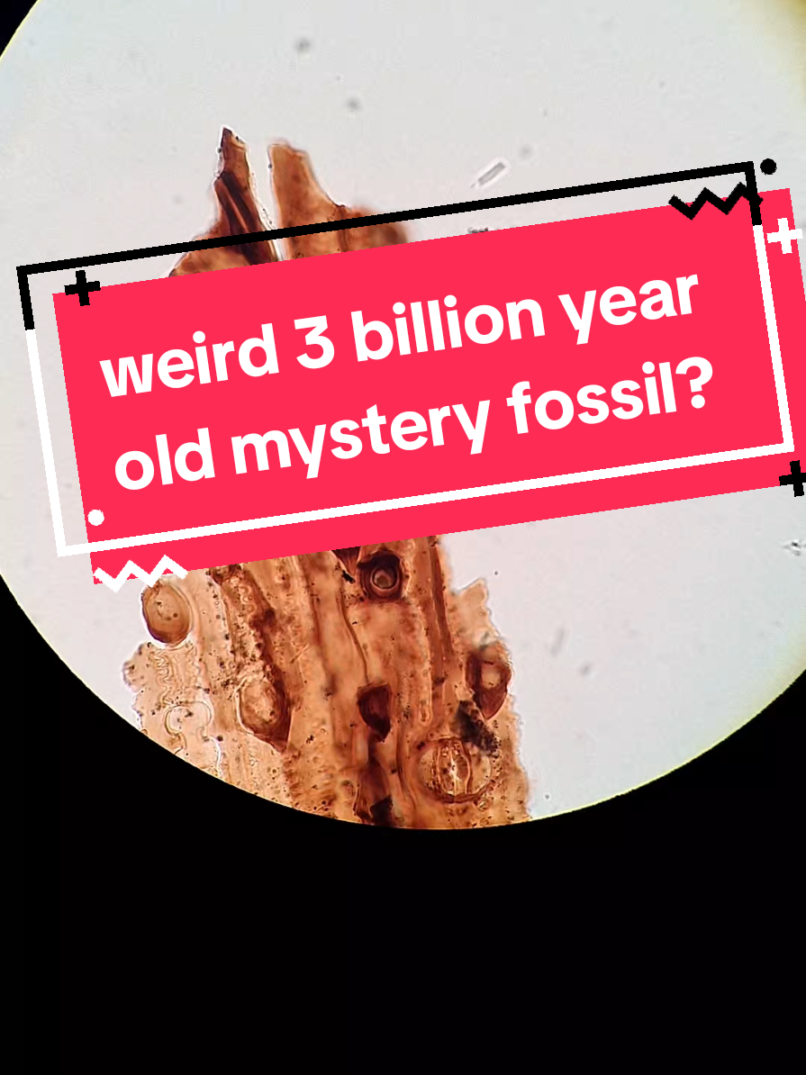 @Geology Johnson