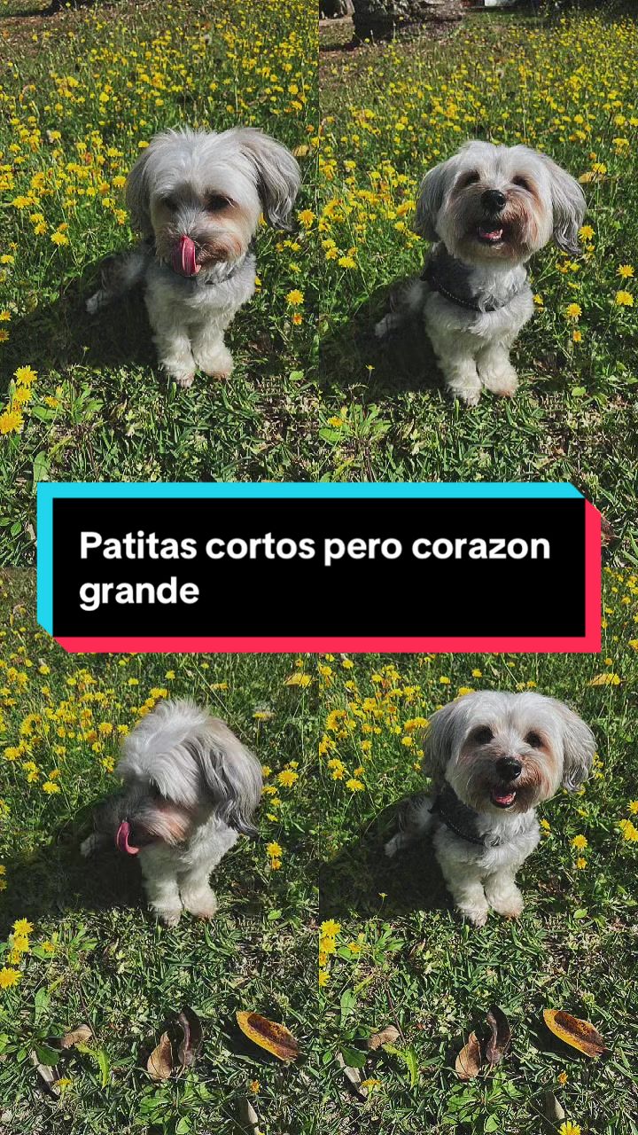 @Patricia Mathe