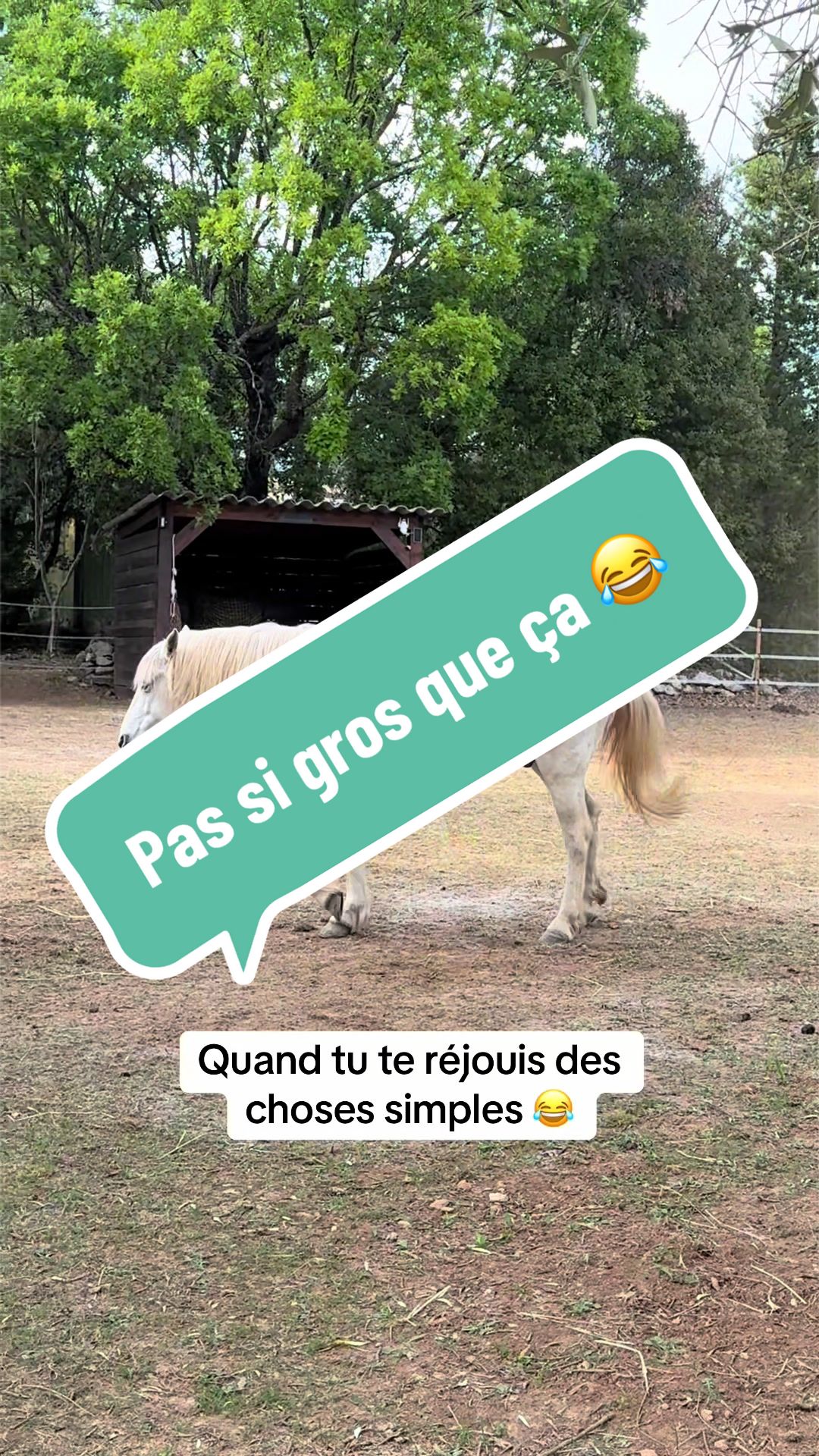@Salut c&rsquo;est Marine