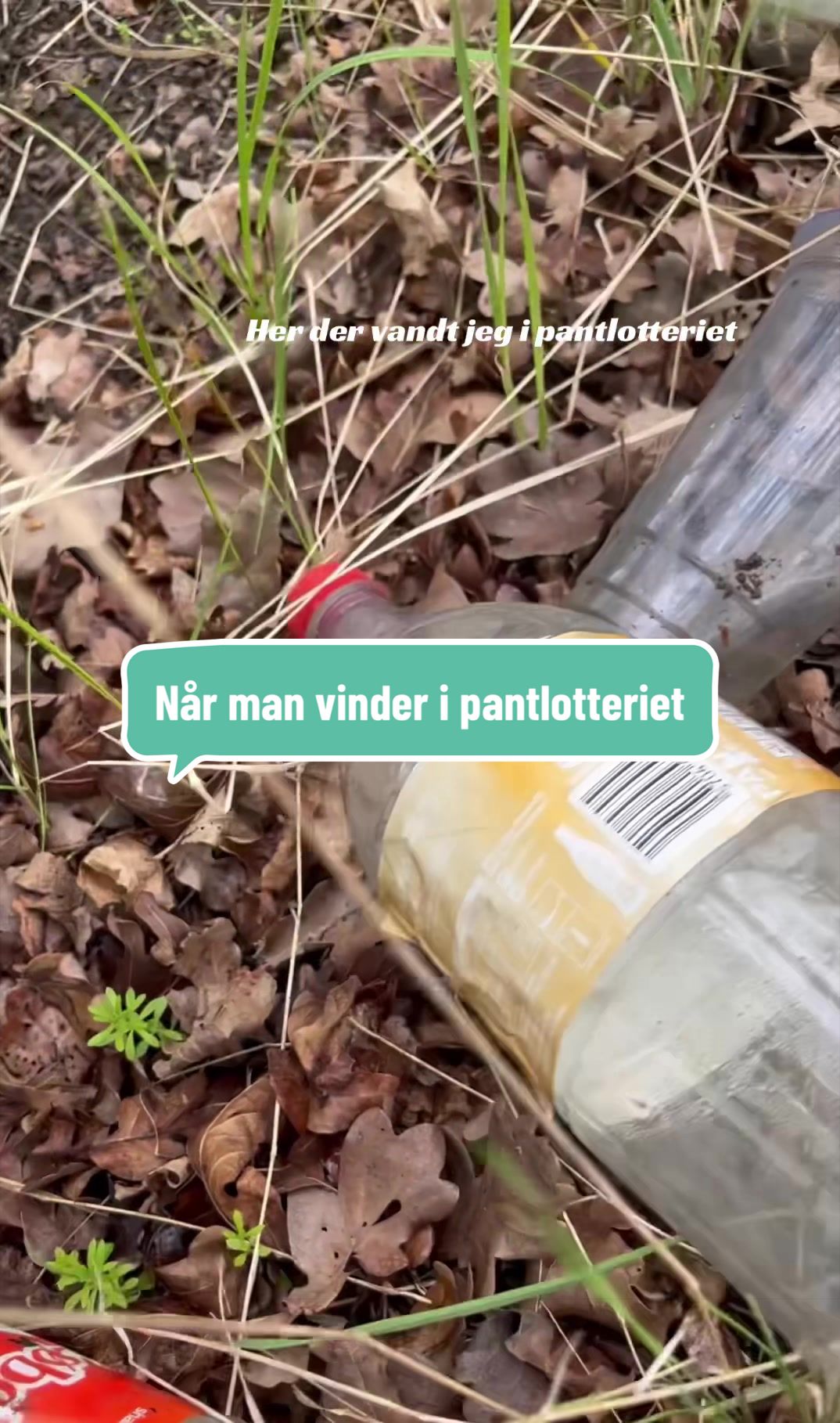 @Ninatagerskraldet