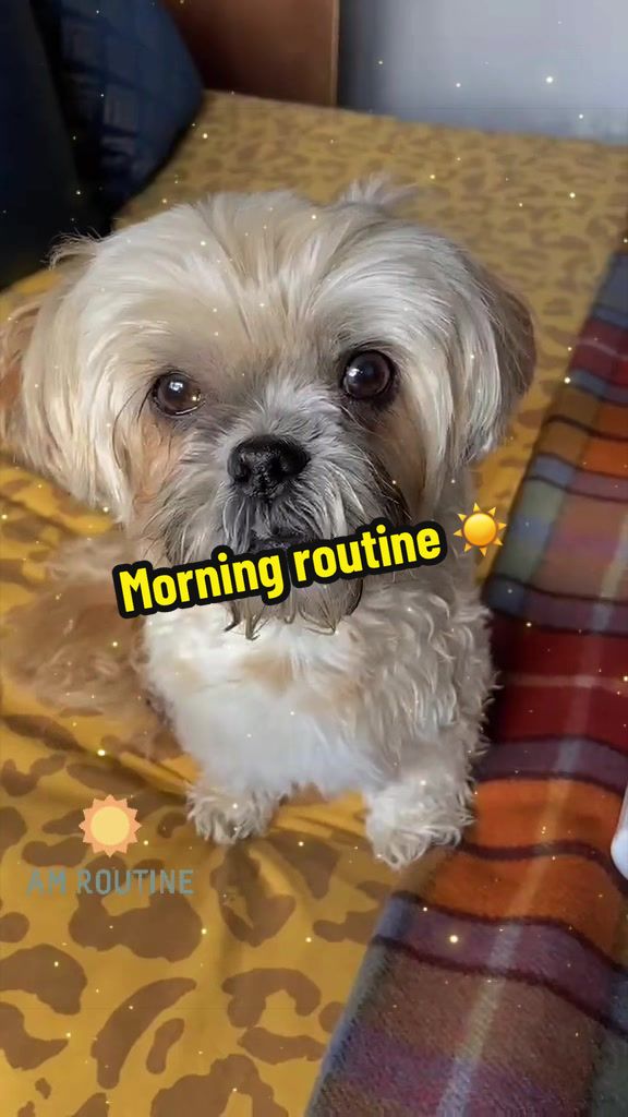 @🐾💕 Bessie Boo 💕🐾