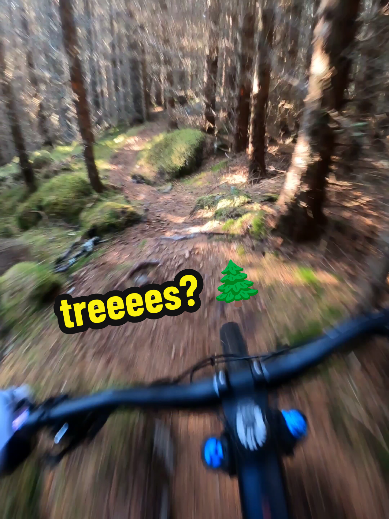 @That MTB guy