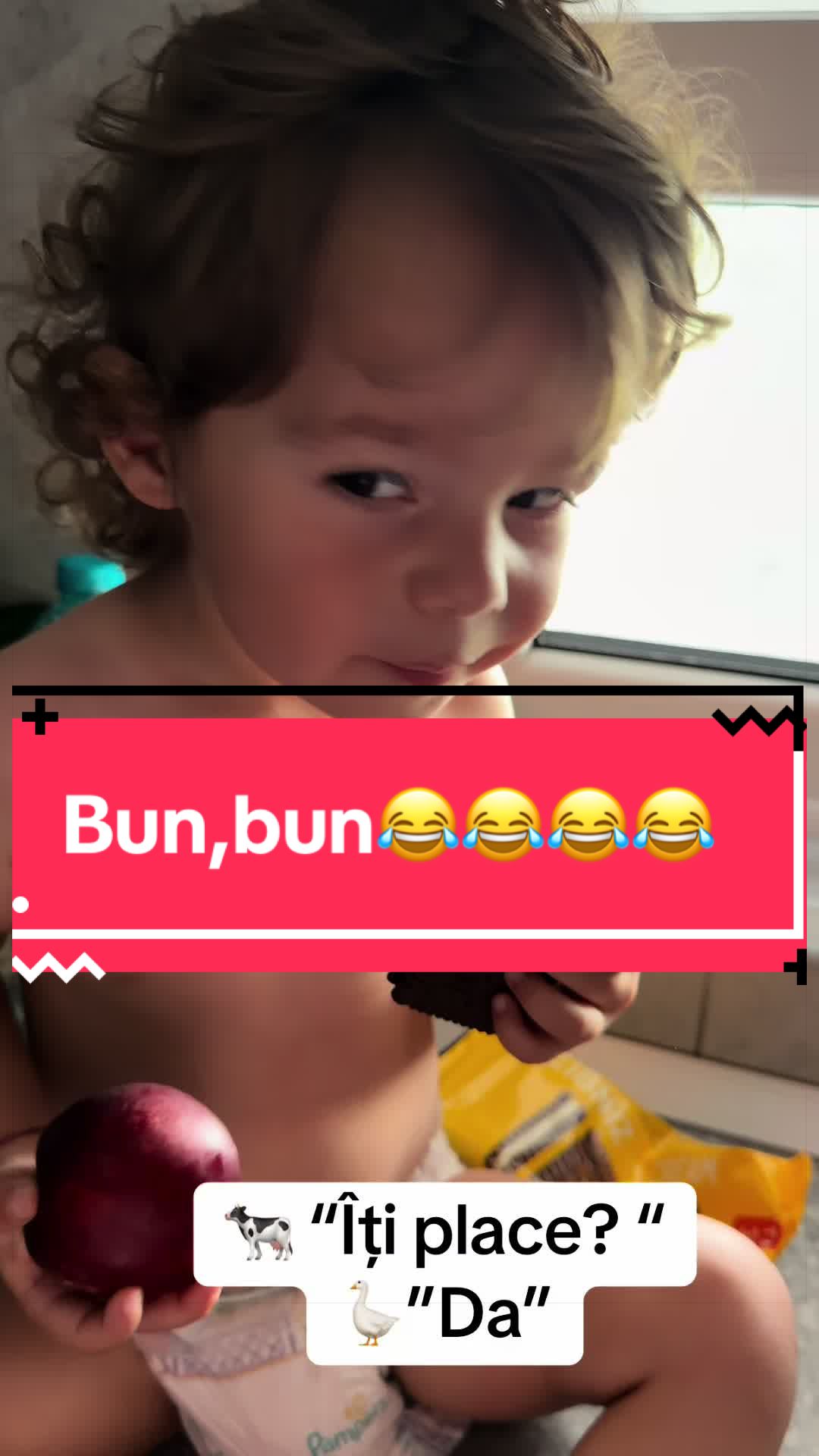@balko_florentina