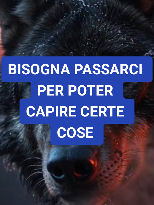 @ALESSANDRO_IL_ROMANO