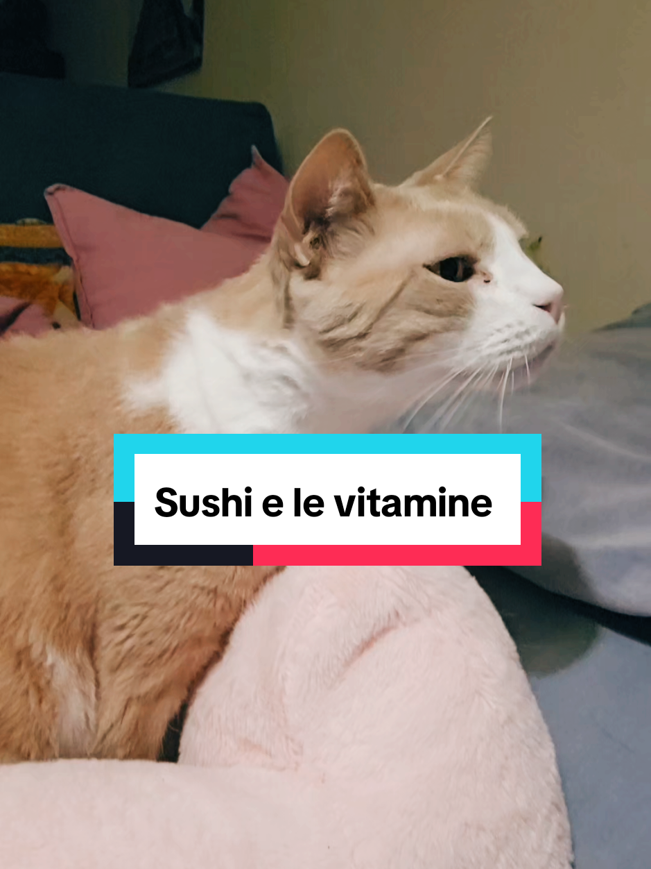 @The_Milfluencer