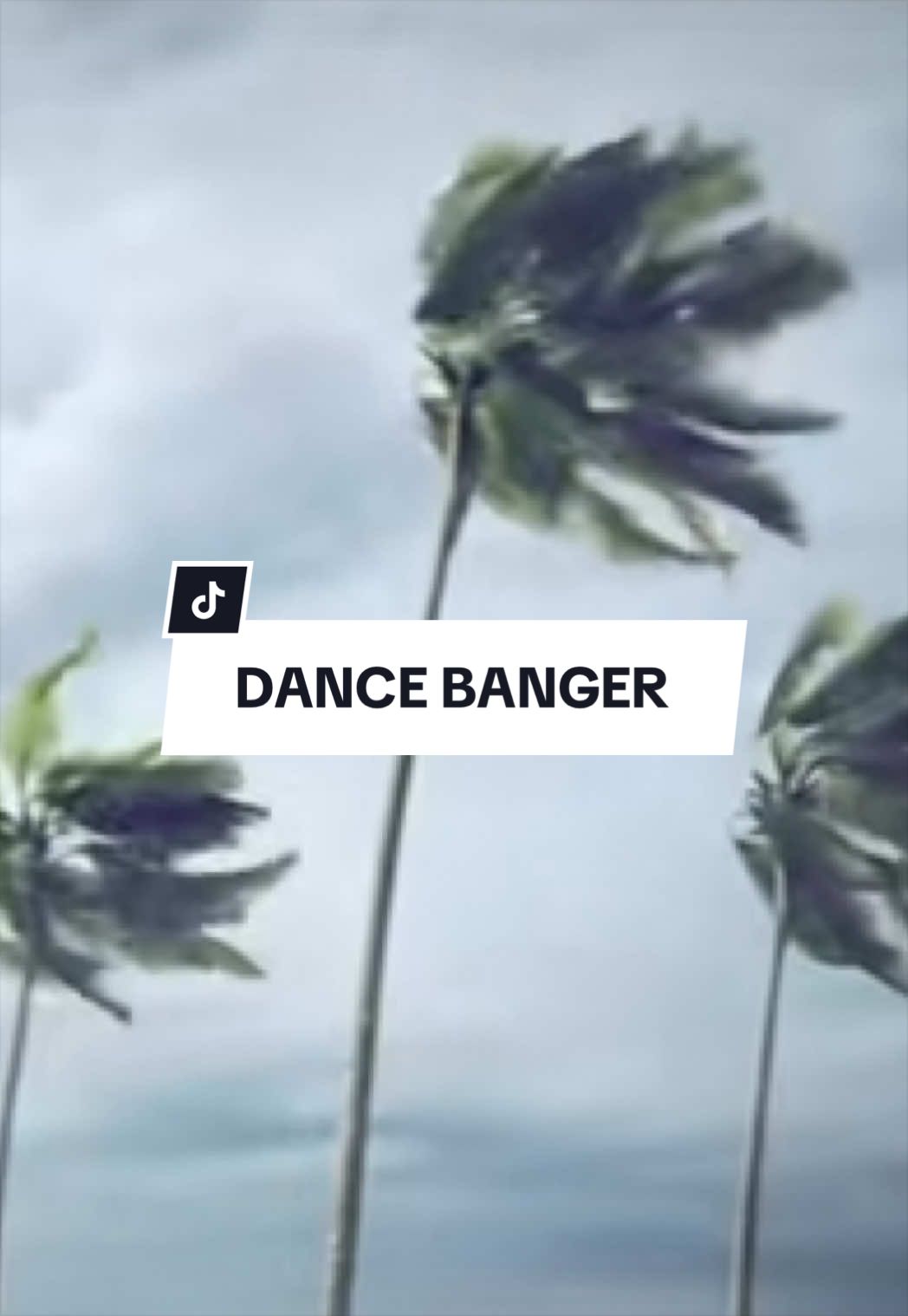 @Dance Music Ultra