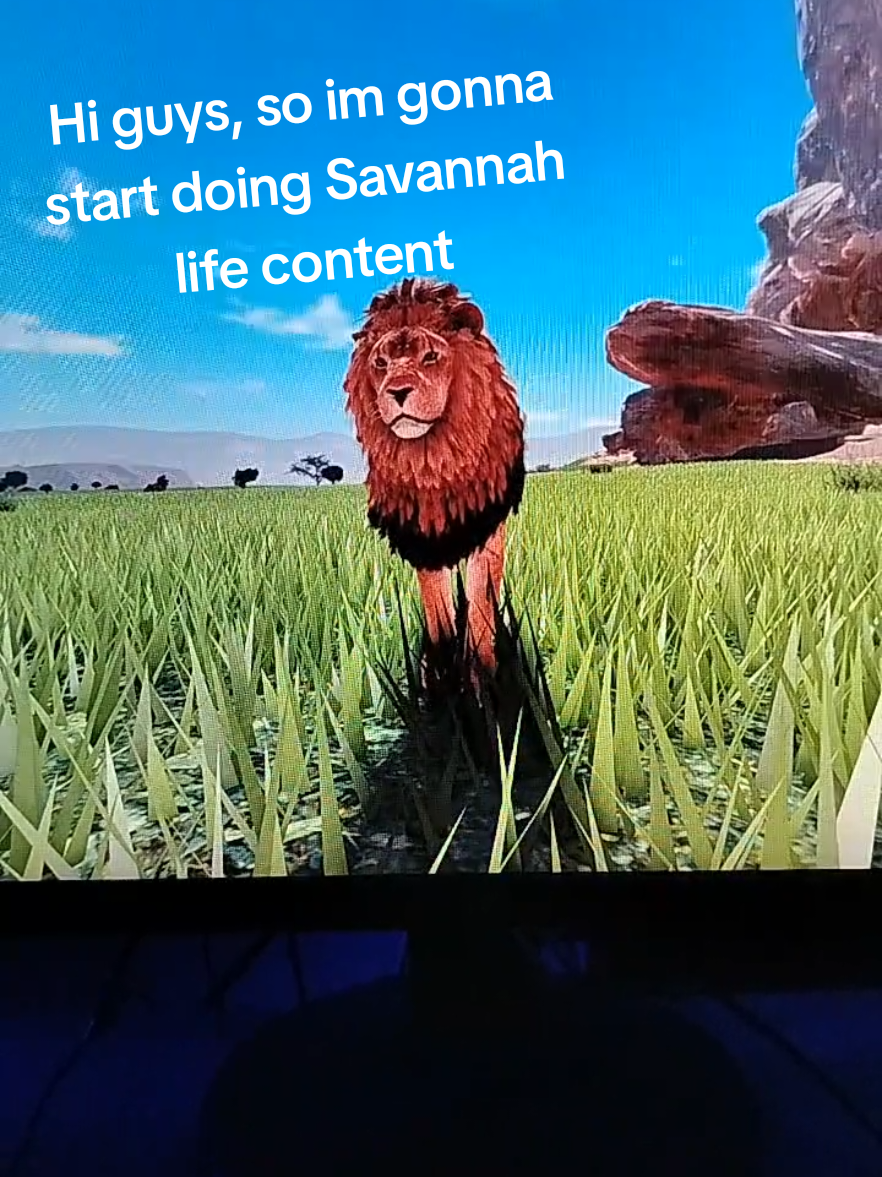 @in-da-savannah