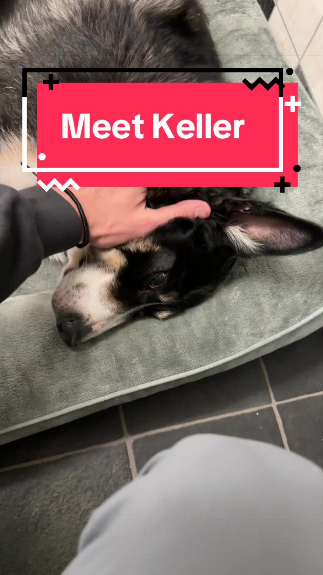@Kane Ehlen